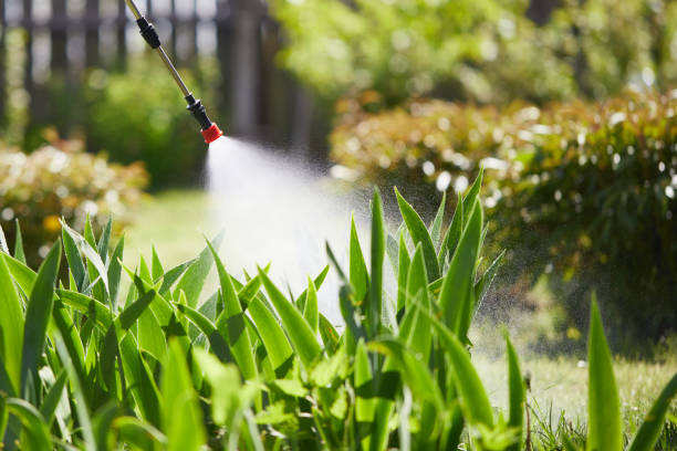 24/7 Emergency Mosquito Control experts in Geneva, NE